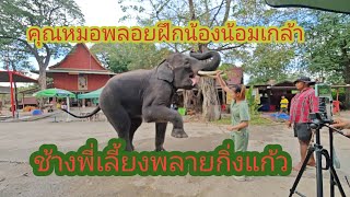 คุณหมอพลอยฝึกช้าง เดินสวนสนาม