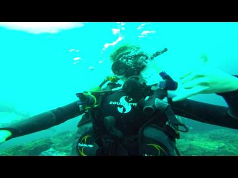 download lagu mp3 mp4 Sadive, download mp3 Sadive free downloadn, video klip Sadive