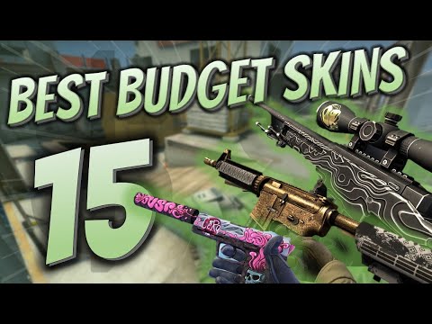 The 15 Best BUDGET SKINS Everyone Should Buy!