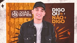 Digo Ou Não Digo Lyrics English Translation