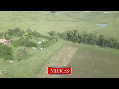 Video de YouTube - Campo en Venta  en San Carlos, Maldonado