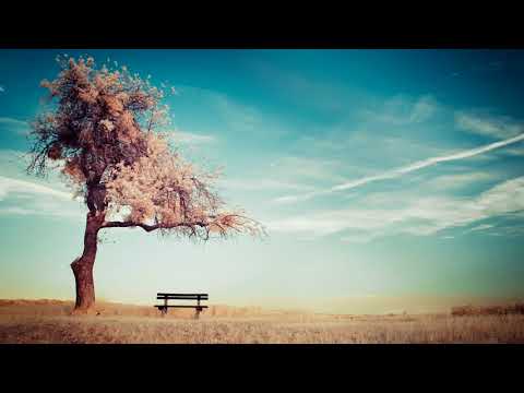 Breathing Meditation For Beginners By Jack Kornfield