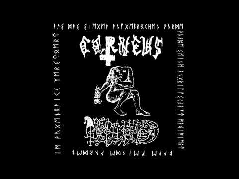 Corneus & Grollfried (2019) - Corneus (B.S.o.D) & Grollfried (Sigfrid)