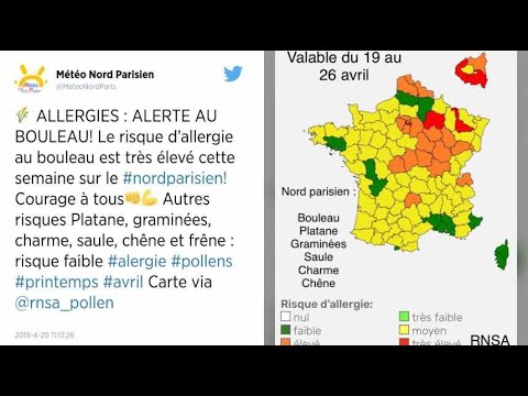 download lagu mp3 mp4 Allergie Pollen Carte France 2019, download lagu Allergie Pollen Carte France 2019 gratis, unduh video klip Allergie Pollen Carte France 2019