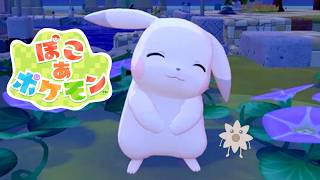 DLCやります【ぽこ あ ポケモン】3