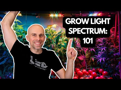 How to Choose the RIGHT Spectrum for Your Plants
