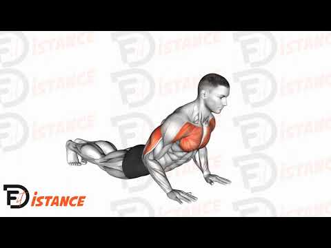 Exercice Dips inversés