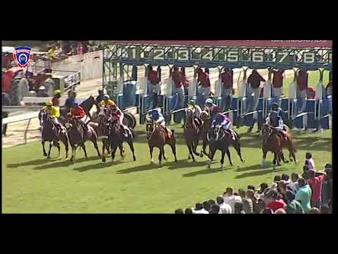 RM11 R3 | Ku Du Tu | D.David