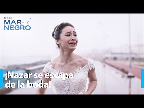 ¡Nazar se escapa de la boda! - Mar Negro Capítulo 148 | Fugitiva