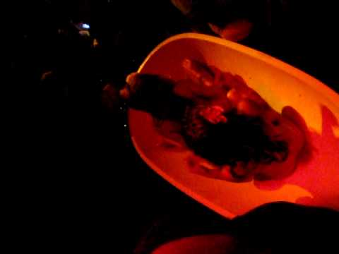 Erick Morillo @TAO Las Vegas MDW 2009