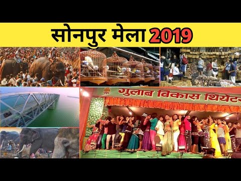 Sonepur Mela 2019- एशिया का सबसे बड़ा मेला जहां बिकता है पशु से लेकर सुई