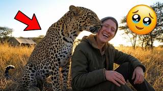 Wild Leopard Never Forgot the Man Who Saved Him… Their Reunion is UNBELIEVABLE! 🐆❤️ MQDEFAULT Thumbnail