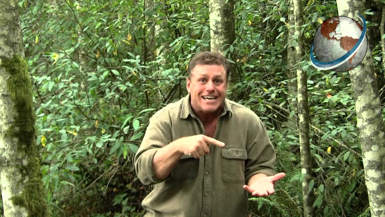 Find Your Next Travel Destination with a World Globe from Ultimate Globes!