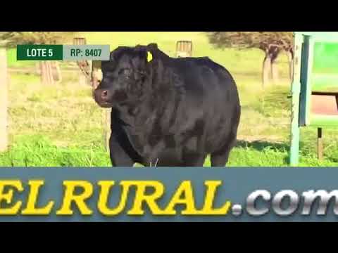 ESTEBAN MARIN - GERENTE DE DON BENJAMIN