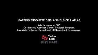 Newswise:Video Embedded mapping-endometriosis-a-vast-cellular-atlas-is-created