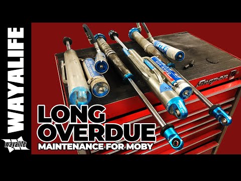 Jeep Wrangler Coilover & Bypass Shock Maintenance Service at EVO - Prep for the Nitto JKX