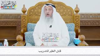 439 - قتل الطير للتدريب - عثمان الخميس