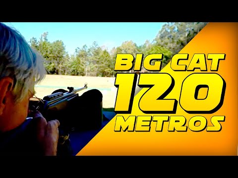 GAMO BIG CAT TIRO A 120 METROS! Gamo BIG CAT 5.5mm - Teste de Tiro