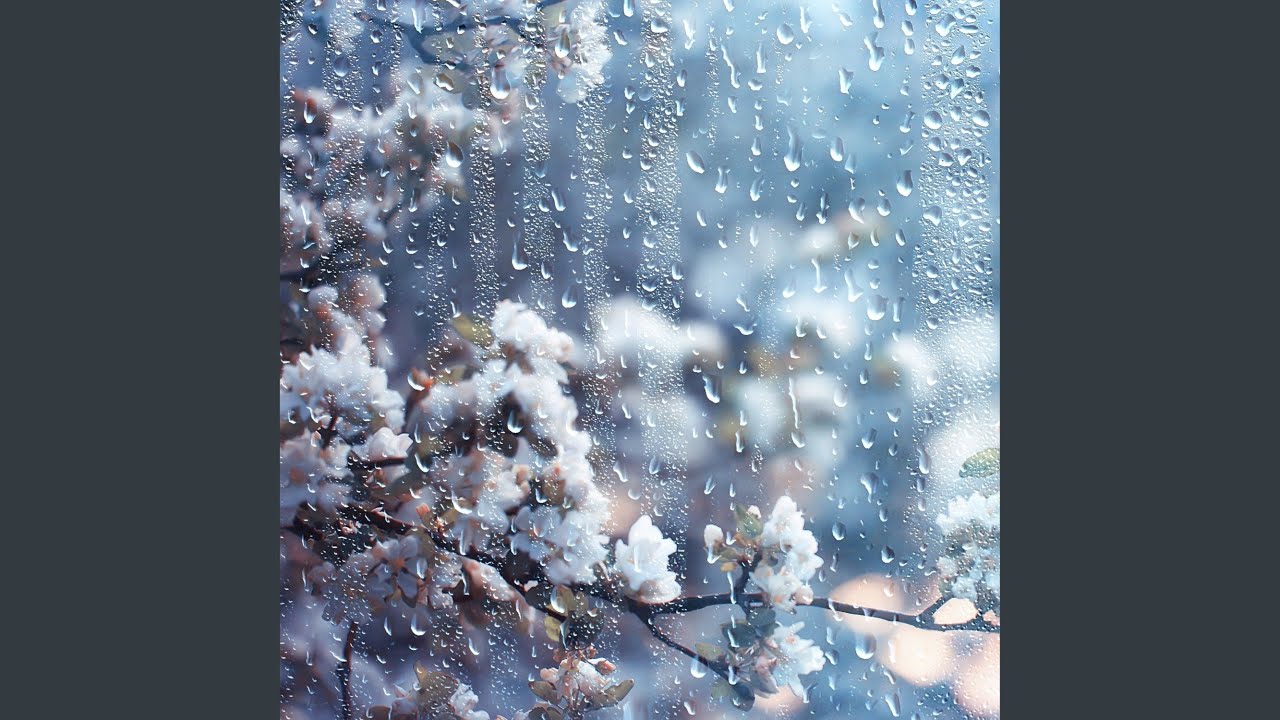 Blossom (Slow + Reverb)