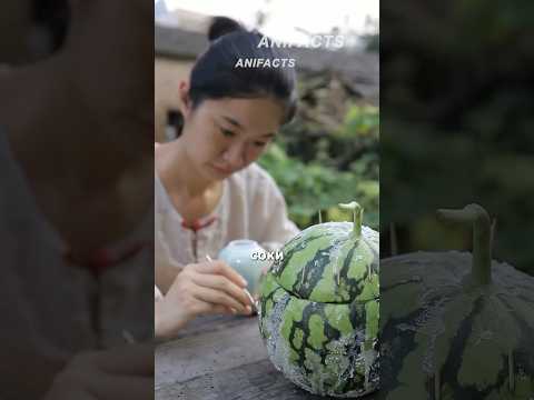 Что она собирает с арбуза? #китай #традиционнаямедицина #китайскаямедицина