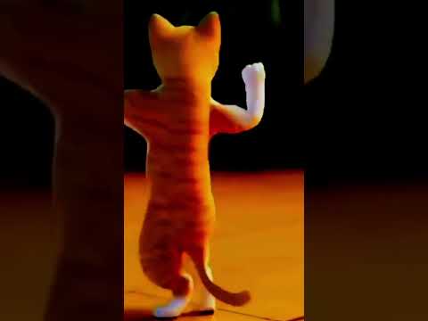 cat dance | #shorts #cat #viral#trending @mahesh_yadu #catvideos #trending #catdance #funny#dance