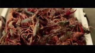 PeppaBoy Films Presents: Maxwell Family Reunion 2015