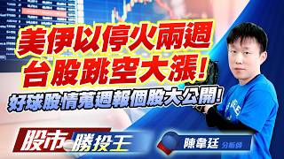 美伊以停火兩週台股跳空大漲 ! 好球股情蒐週報個股大公開 !  #台積電 #台達電 #南亞 #群聯 (圖)