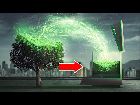 He turned a tree into liquid