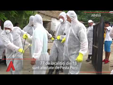 Stiri Mediafax 11 Iulie - Dăncilă va candida la prezidențiale dacă i-o cere partidul