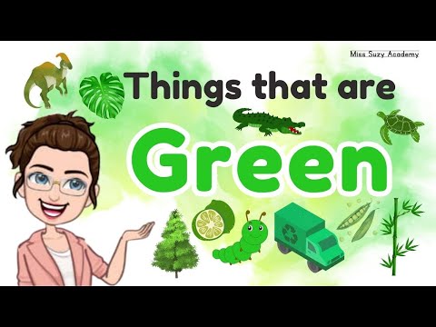 THINGS THAT ARE GREEN | Learning Colors for Kids | Green Color Objects
