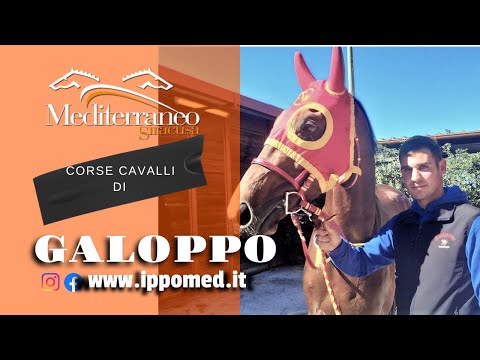 Corse cavalli di Galoppo del 2 Aprile  2022