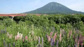 preview picture of video '北海道　倶知安町から羊蹄山 - Mt. Yotei from Kutchan, Hokkaido, Japan'