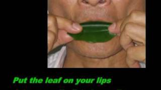 樹葉笛吹奏法How to play leaflute (musical leaf)