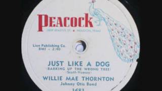 WILLIE MAE THORNTON   Just Like A Dog  78  1957