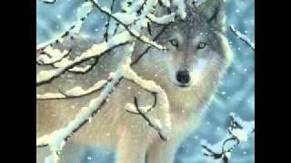 Tribute to the Wolves