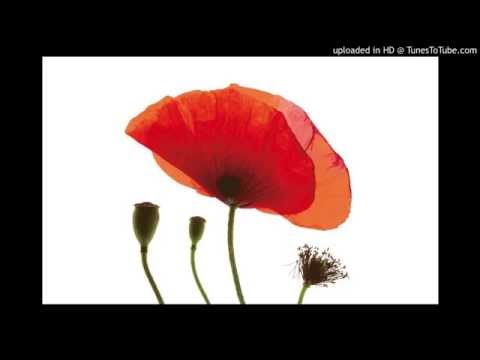 Christine Zufferey - Mon Chant de sirene