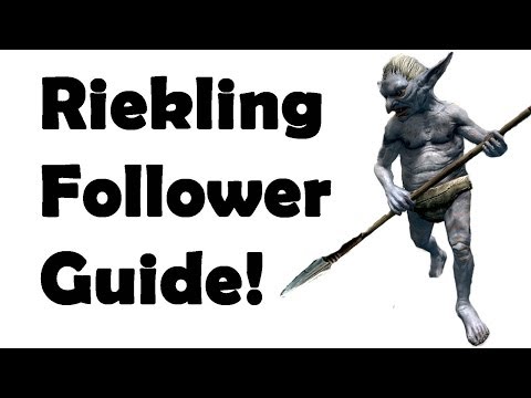 Skyrim: How to get the Best Pet Follower! (Best Quest Series).