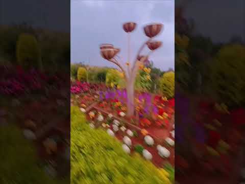 wagamon Flower garden