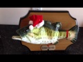 Big Mouth Billy Bob Bass sings the Night before Christmas