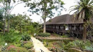 preview picture of video 'Safari park hotel'