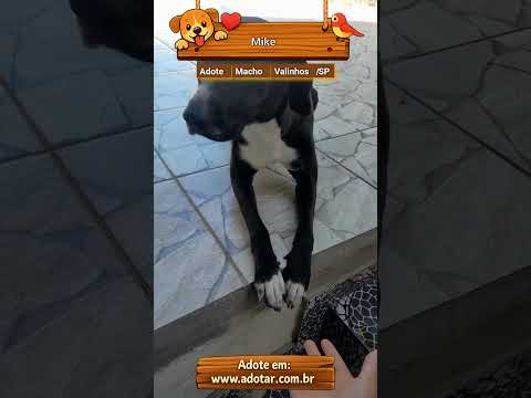 Vídeo de Mike