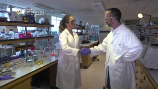 Let’s not shake on it - Fist bump beats unhygienic handshake