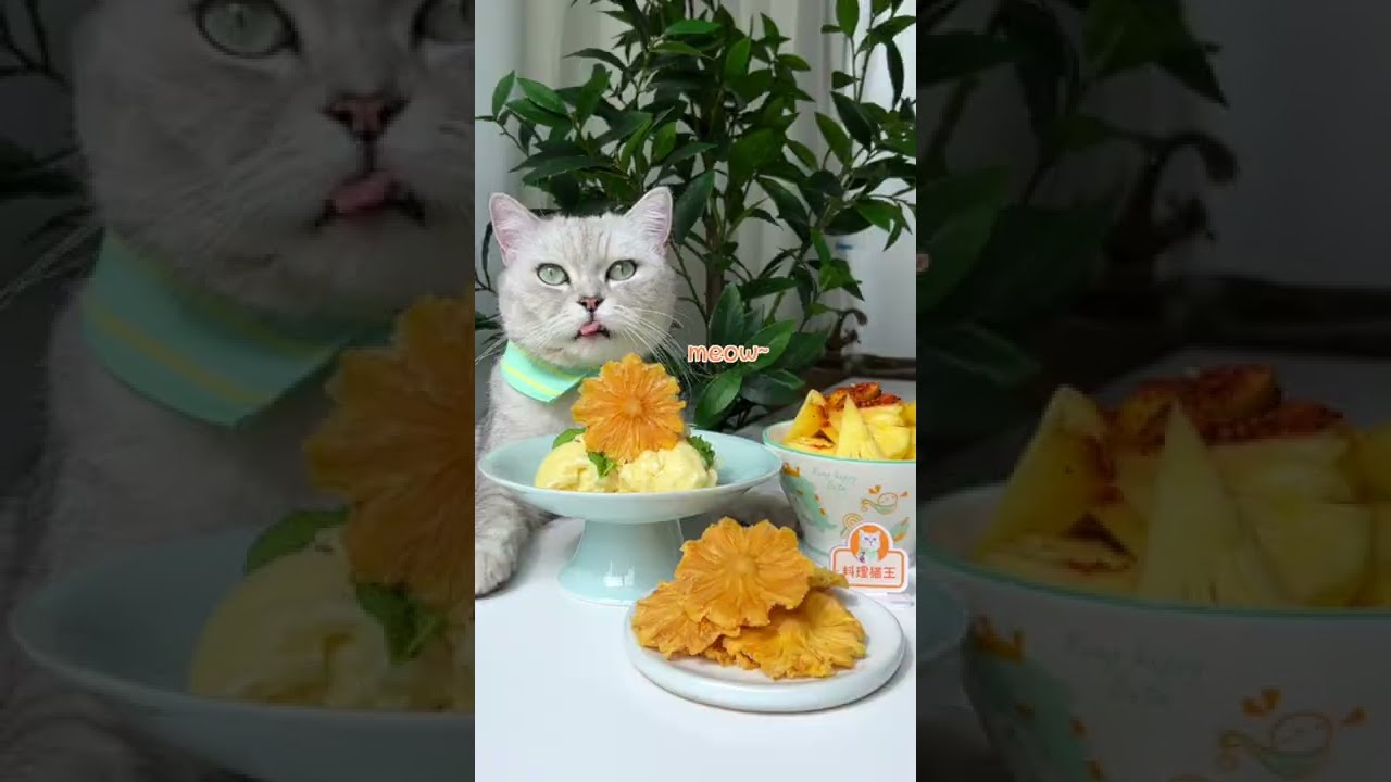 Come And Try It! So Delicious Pineapple!!🍍 | Chef Cat Cooking Show 2022| Cuteness Cat TikTOK#Shorts