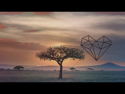 Mòo & Jo - N'golo [Afro House / Mobilee Records]