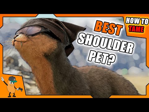 HOW TO TAME AN OTTER | THE BEST SHOULDER PET! | ARK How To Tame Series