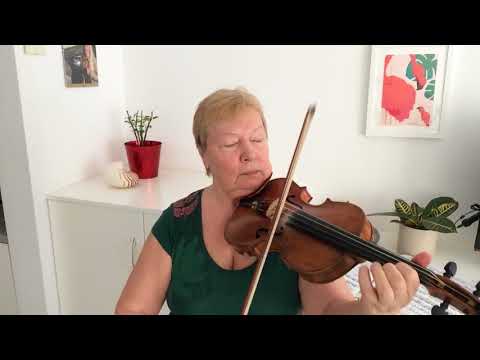 N. Minko - A. Vivaldi concerto amoll part III