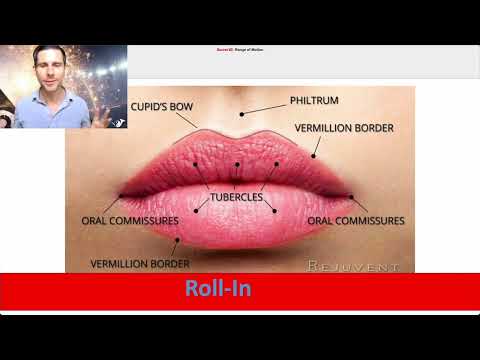 This high horn masterclass could change everything 🤓... 1min TRAILER