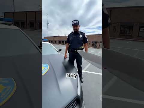 Kiểm Xa Chiếc Xe Là Bánh Kem Hay Không