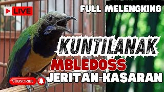 Download lagu MASTERAN NGERET MENJERIT KASAR!! CUCAK CUNGKOK TEMBAKAN KASAR MEWAH - TEMBAKAN KUNTILANAK mp3