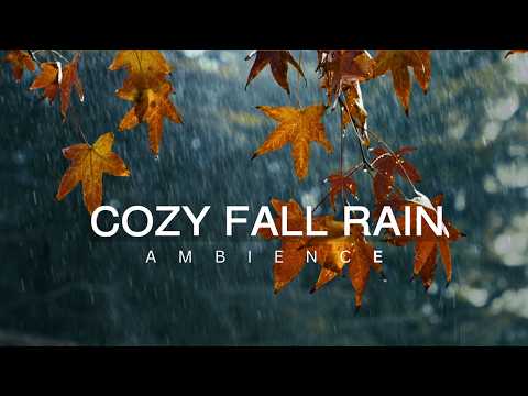 10 Hour  🍂🍁 Cozy Autumn Rain Ambience | Fall Leaves 🍂🍁 | Sounds for Relaxation | Meditation | Sleep